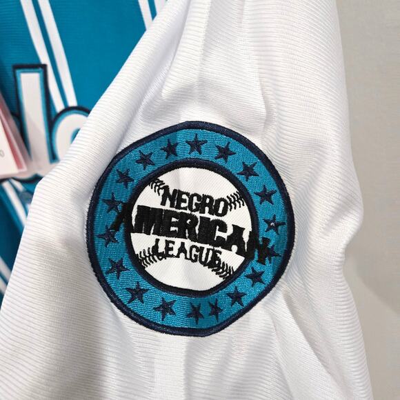 HeadGear Classics Nostalgia Co. Sz 3XL Charlotte Baseball Jersey - Picture 5 of 6